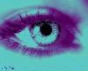 Cold Eye